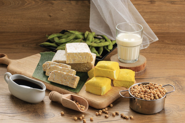 Soy Product: Raw Tofu, Tempeh, Soy Milk, Soy Sauce, and Soy Bean. Concept of Healthy Vegetarian Food