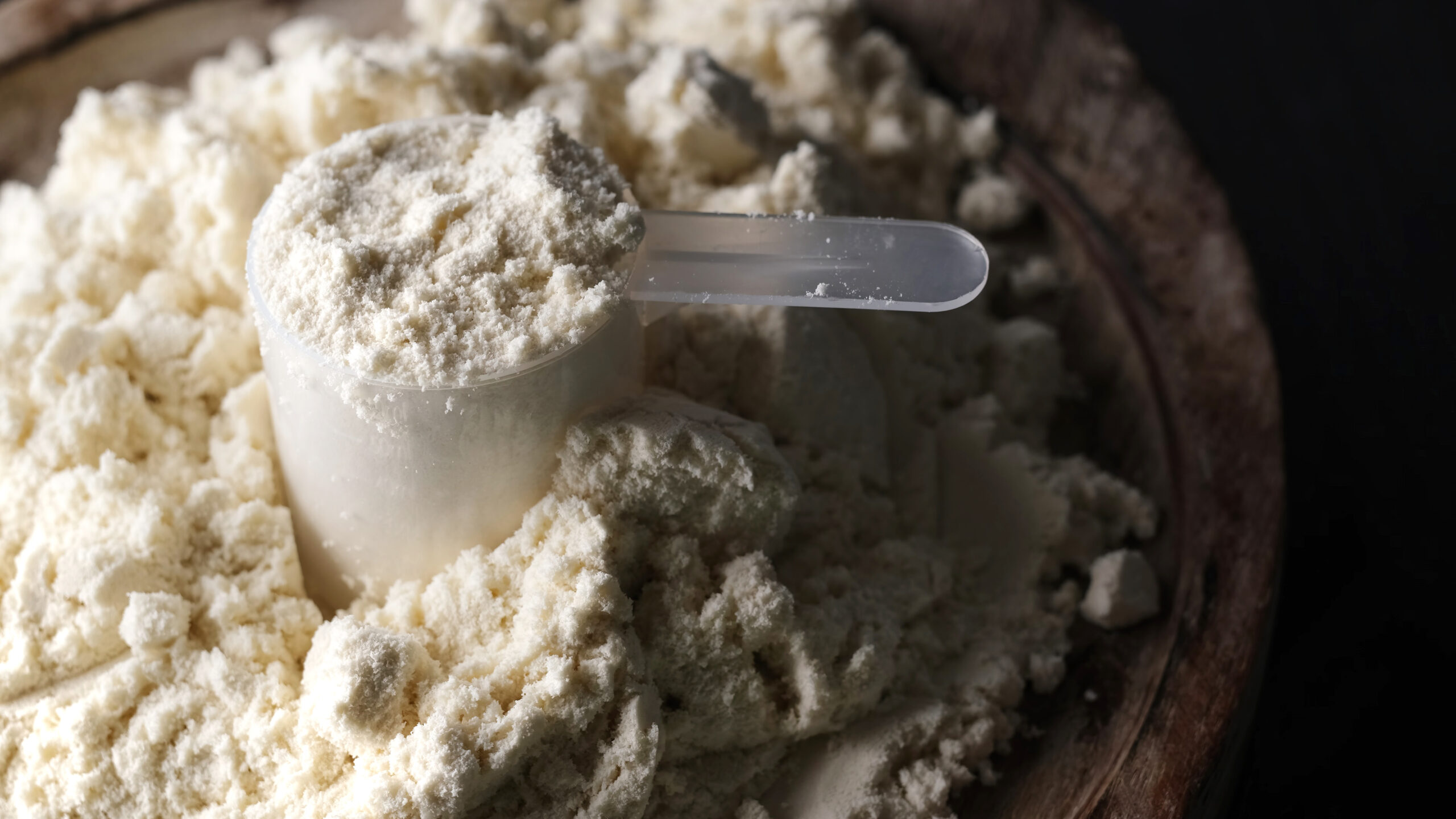 Measuring spoon filled with dry protein whey